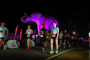 BIB: 
                            <button type="button" onclick="openModal(26534029)" class="btn btn-primary btn-sm float-right btn-popup" data-toggle="modal" data-target=".modal-high-quality">
                        <i class="fas fa-shopping-cart"></i> Add to Cart
                    </button>
                                            <button type="button" onclick="isThisMe(26534029, true)" class="btn btn-success btn-sm float-right btn-popup btn-isme hidden" data-toggle="tooltip" data-placement="bottom" title="นี่คือรูปของคุณใช่ไหม คลิกที่นี่เพื่อเอาเข้าอัลบั้ม">
                        <i class="fas fa-plus"></i> Add to album
                    </button>
                    <button type="button" onclick="isThisMe(26534029, false)" class="btn btn-warning btn-sm float-right btn-popup btn-isnotme hidden">
                        <i class="fas fa-ban"></i> Remove from album
                    </button>